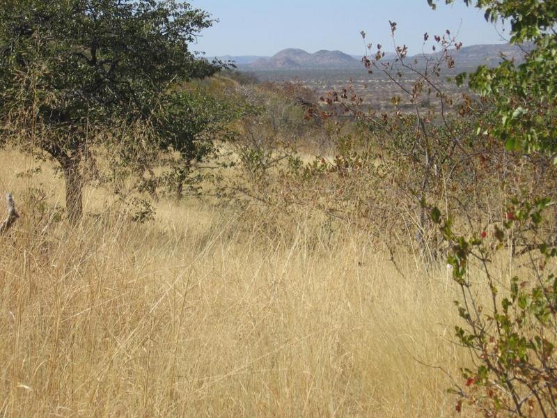 General view