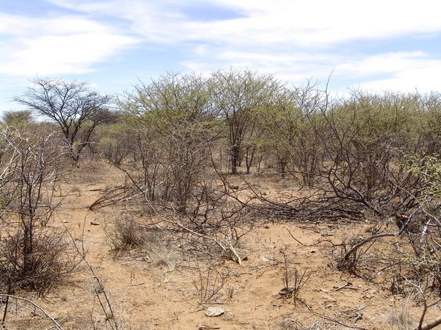 East view