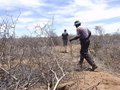 #9: Walking through the dry bush