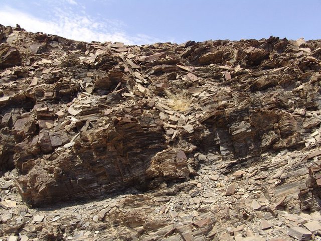 South view