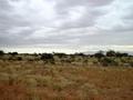 #4: View West