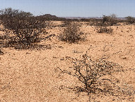#3: View to the West