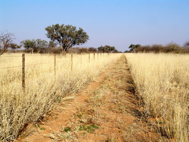 Farm road