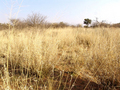 #2: South view