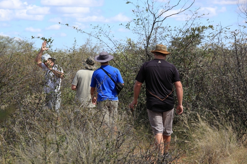 Trekking through the bush