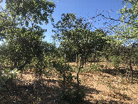 #2: View to the South
