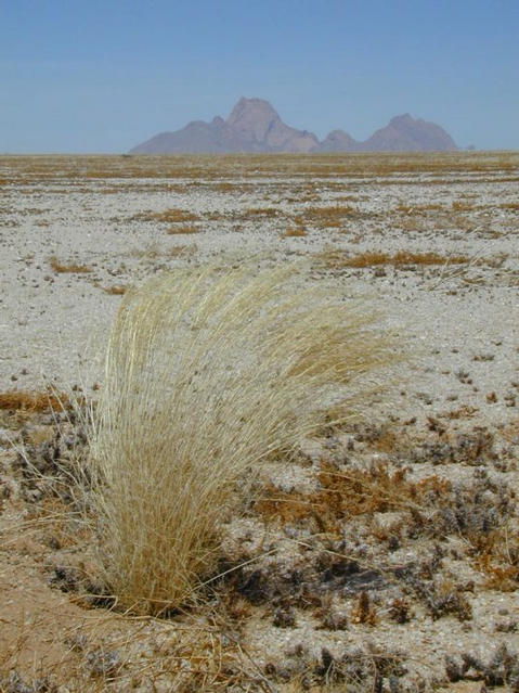 View towards the Gross Spitzkuppe (also called the "Matterhorn of Namibia")