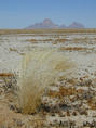 #4: View towards the Gross Spitzkuppe (also called the "Matterhorn of Namibia")
