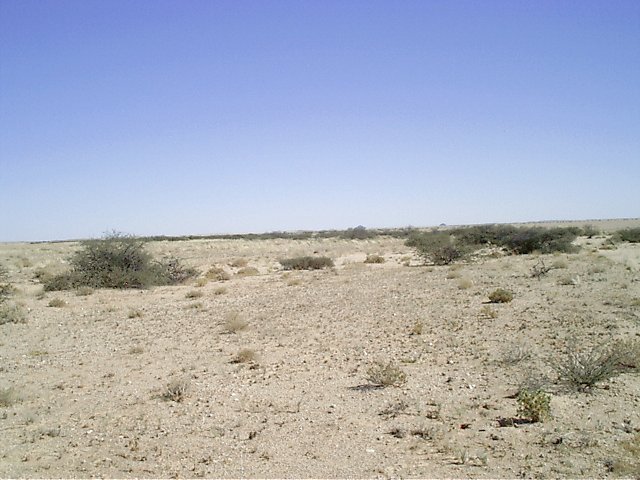 South