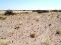 #2: West view