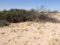 #4: East view