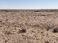 #10: Car Tracks near the Confluence