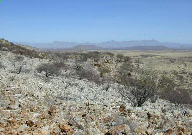 General view of the area (from a nearby hill)