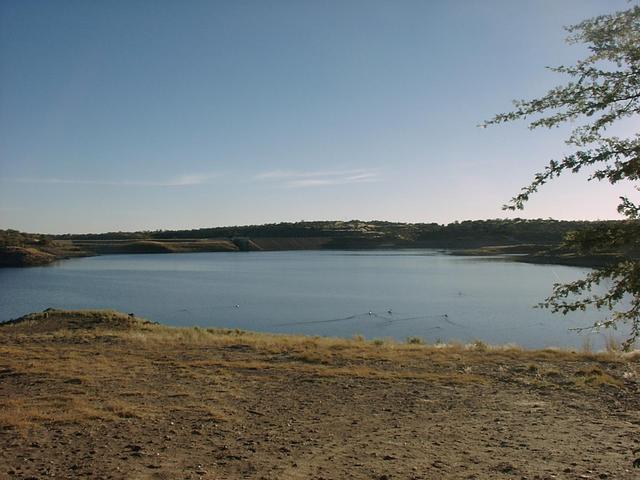 Von Bach dam with pelicans