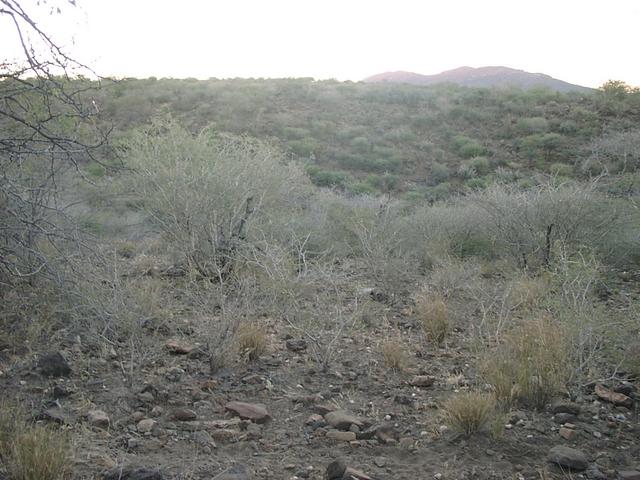 General view of confluence area