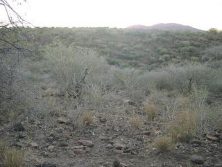 #1: General view of confluence area