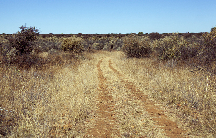 Farm road