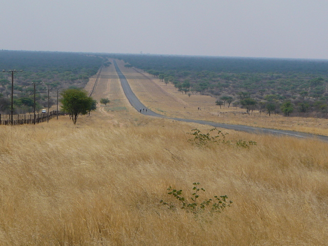 Road to Drimiopsis village