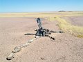 #10: Mining claim beacon