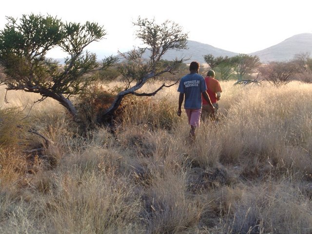 Walking towards the Confluence