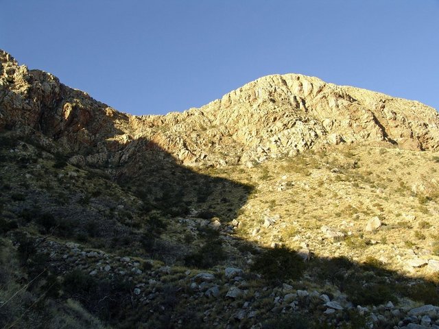 East view