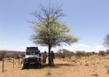 #10: Taking shade under a yellow wood tree