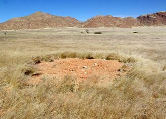 #1: General view showing "fairy circle"