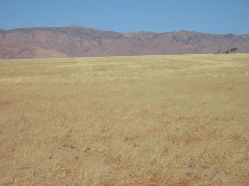 South