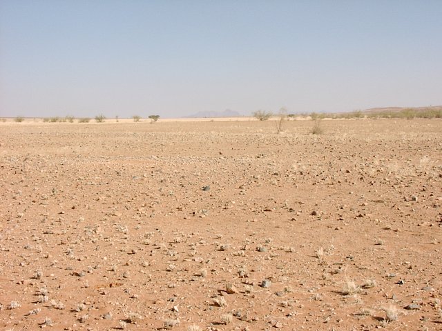 View south