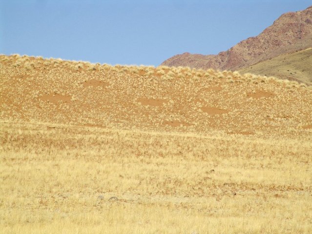 Hill with fairy circles