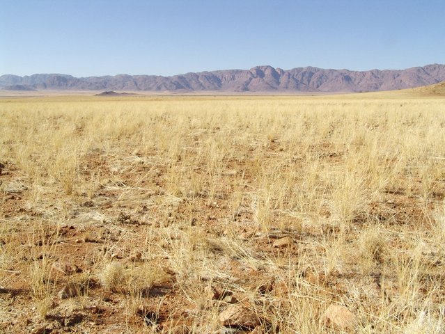 General view