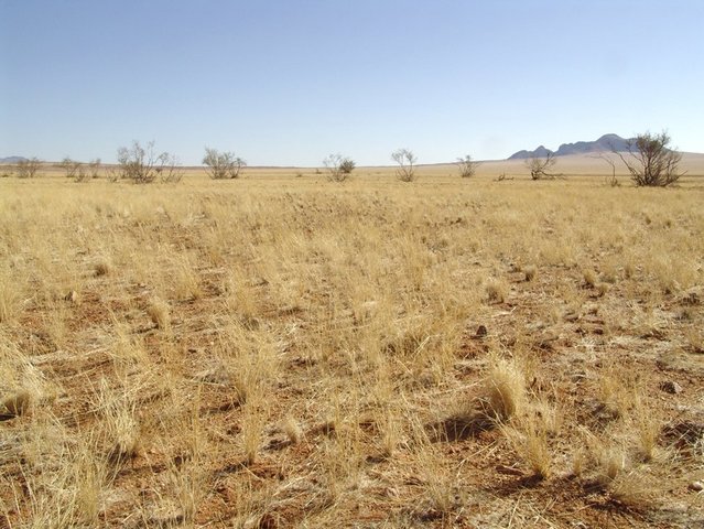 West view
