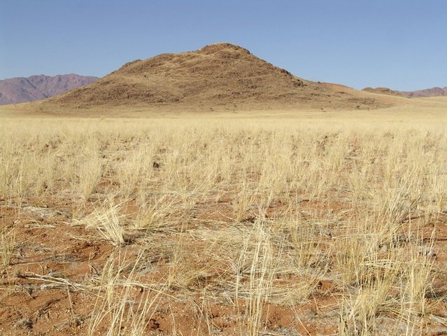 East view
