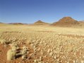 #11: View showing more fairy circles