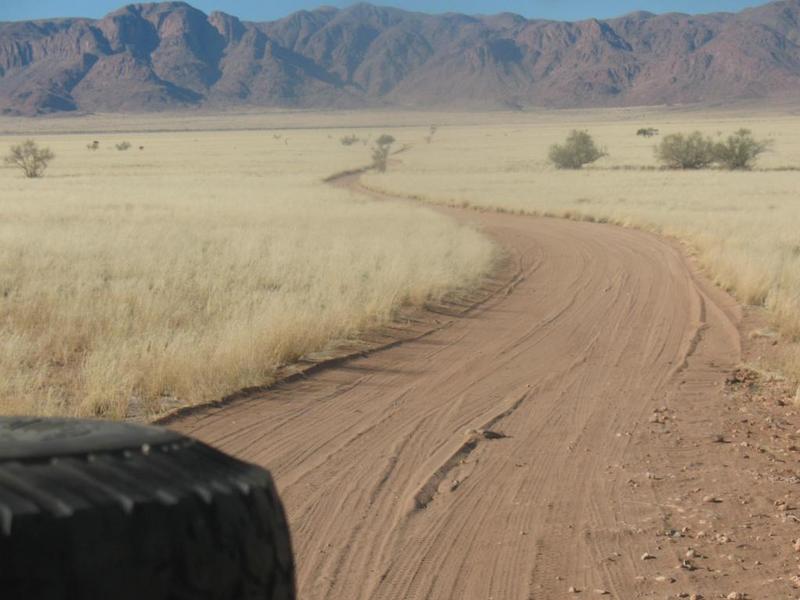 Driving back to the main road at the game reserve