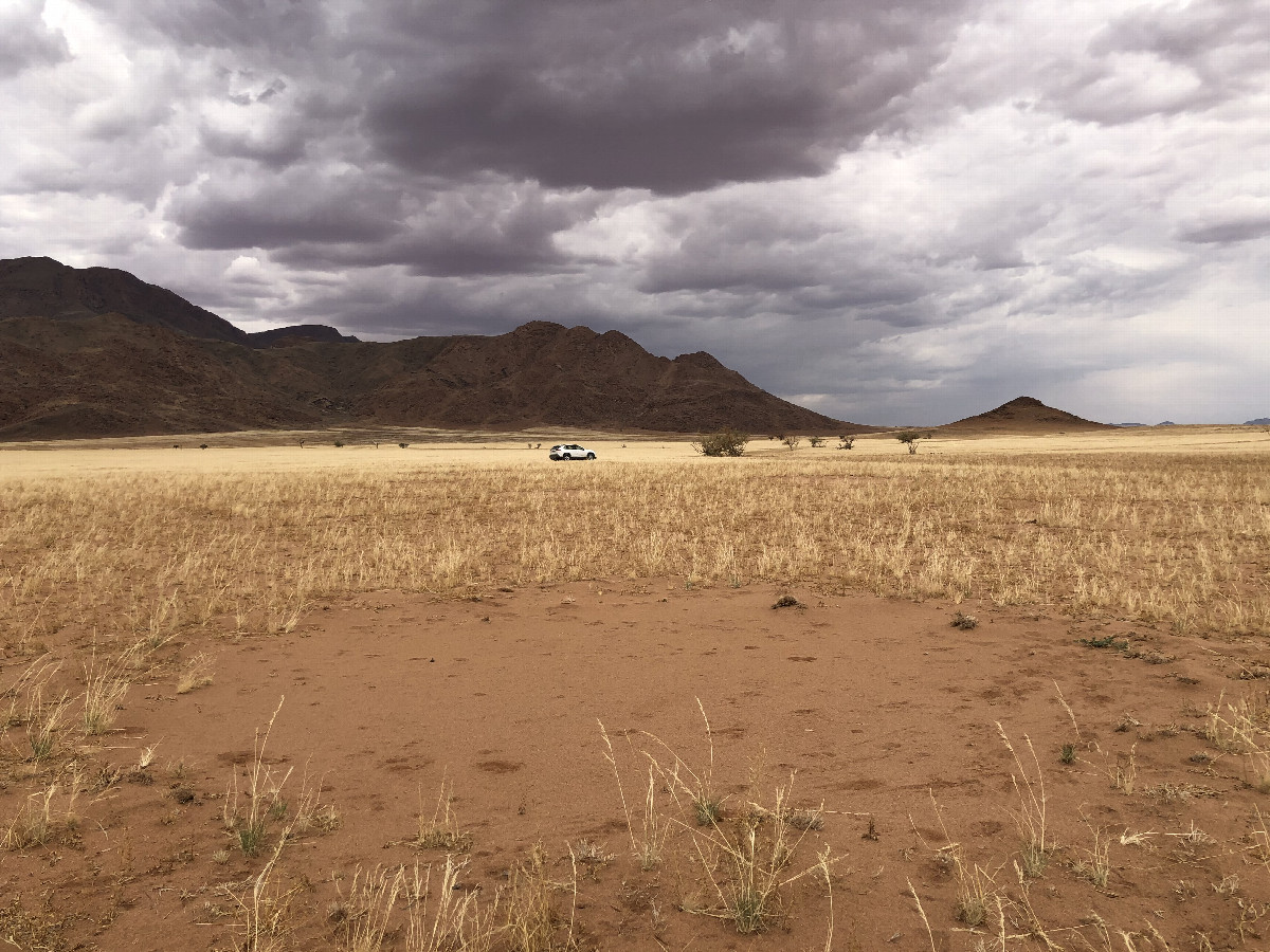 Fairy circle (arid grass formation)