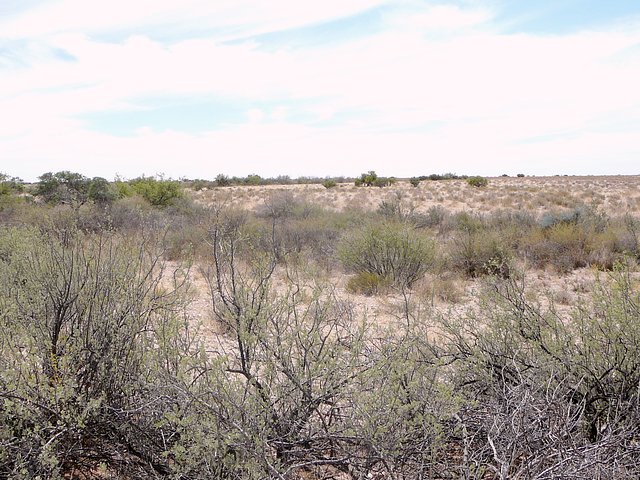 General view and camera facing west