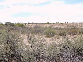 #1: General view and camera facing west