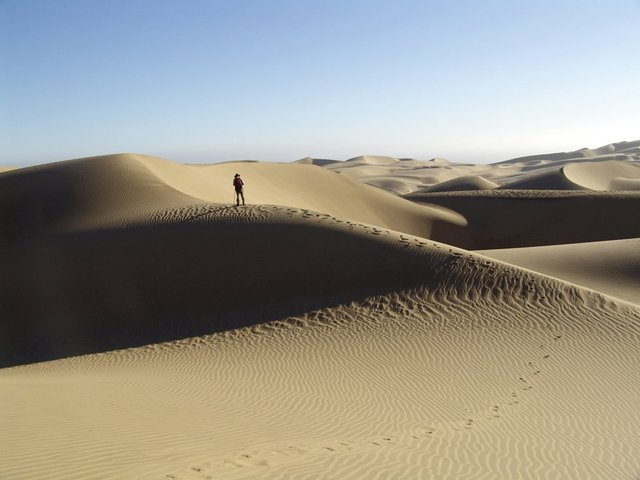 On the crest of the dune