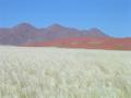 #9: Tiras Mountains and Koichab Dunes