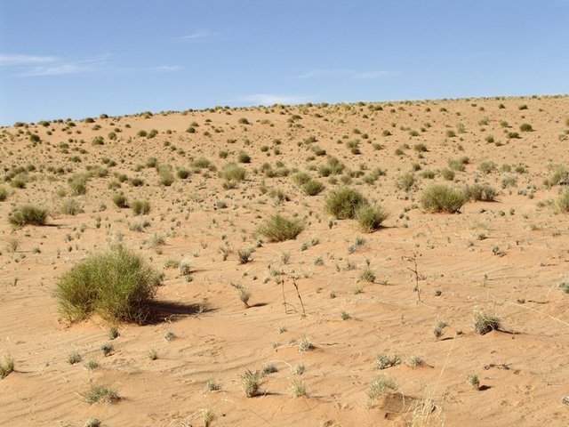 East view