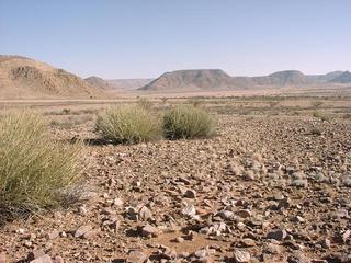 #1: General view of confluence area