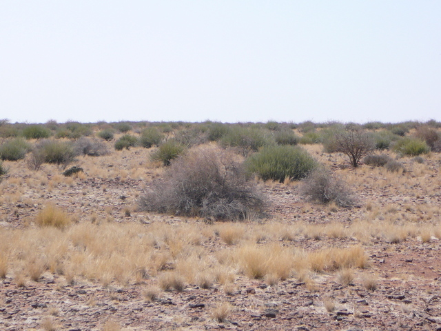 General view