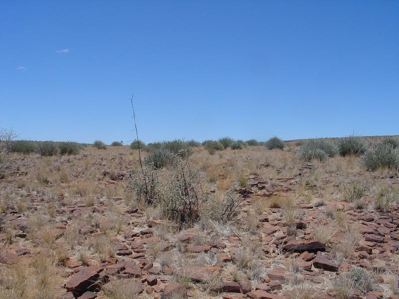 View south