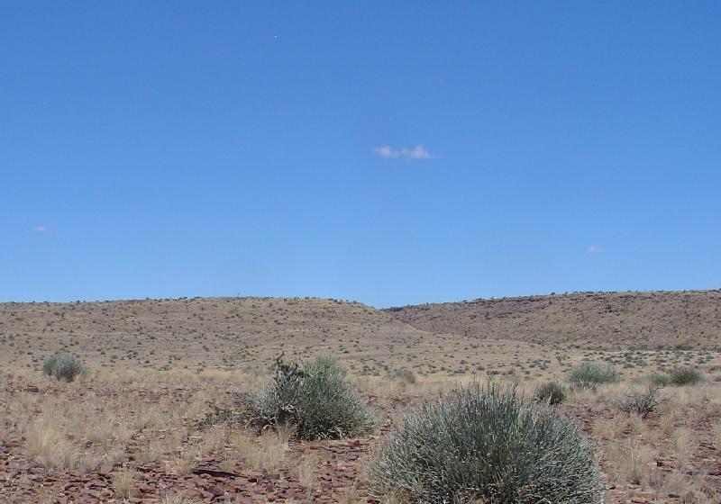 View west