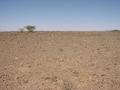 #2: View south