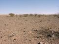#3: View west