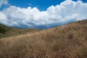 #10: View East (from 20m east of the point, outside the bamboo patch)