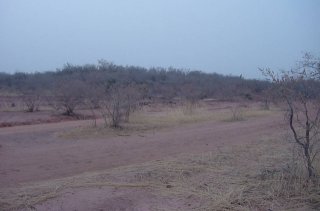 #1: Looking northwest from the Confluence