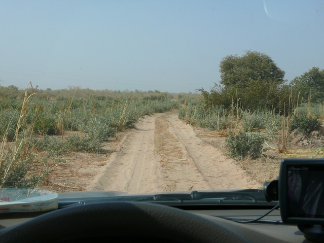 The sandy cart track leading southwest to Karra